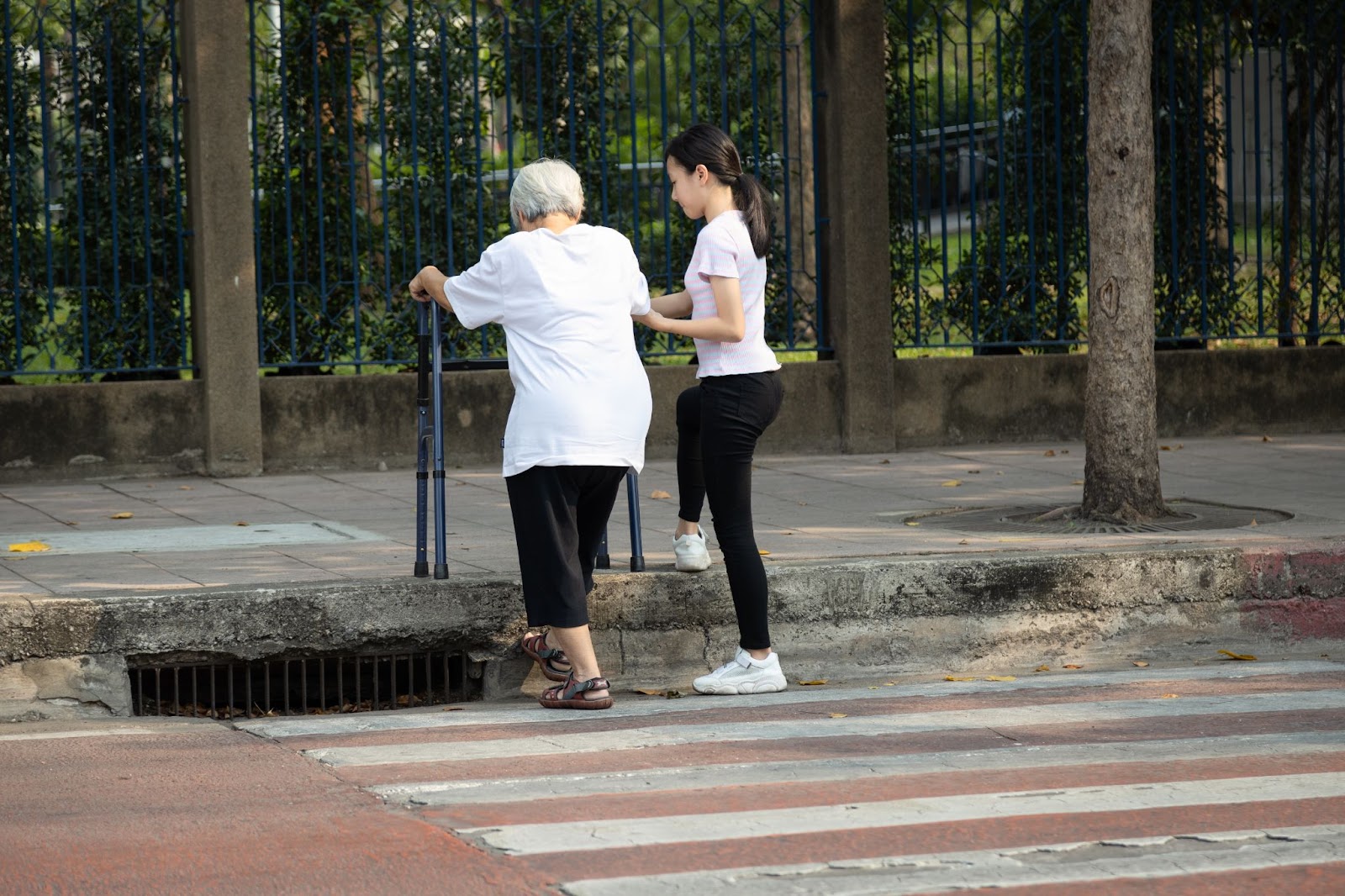 I was Hit By a Car in NC While Walking. How Do I File a Claim? 10 Accompany the Elderly