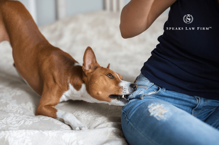 What Are the Most Common Types of Premises Liability Cases in Charlotte, North Carolina? 7 Dog Bites