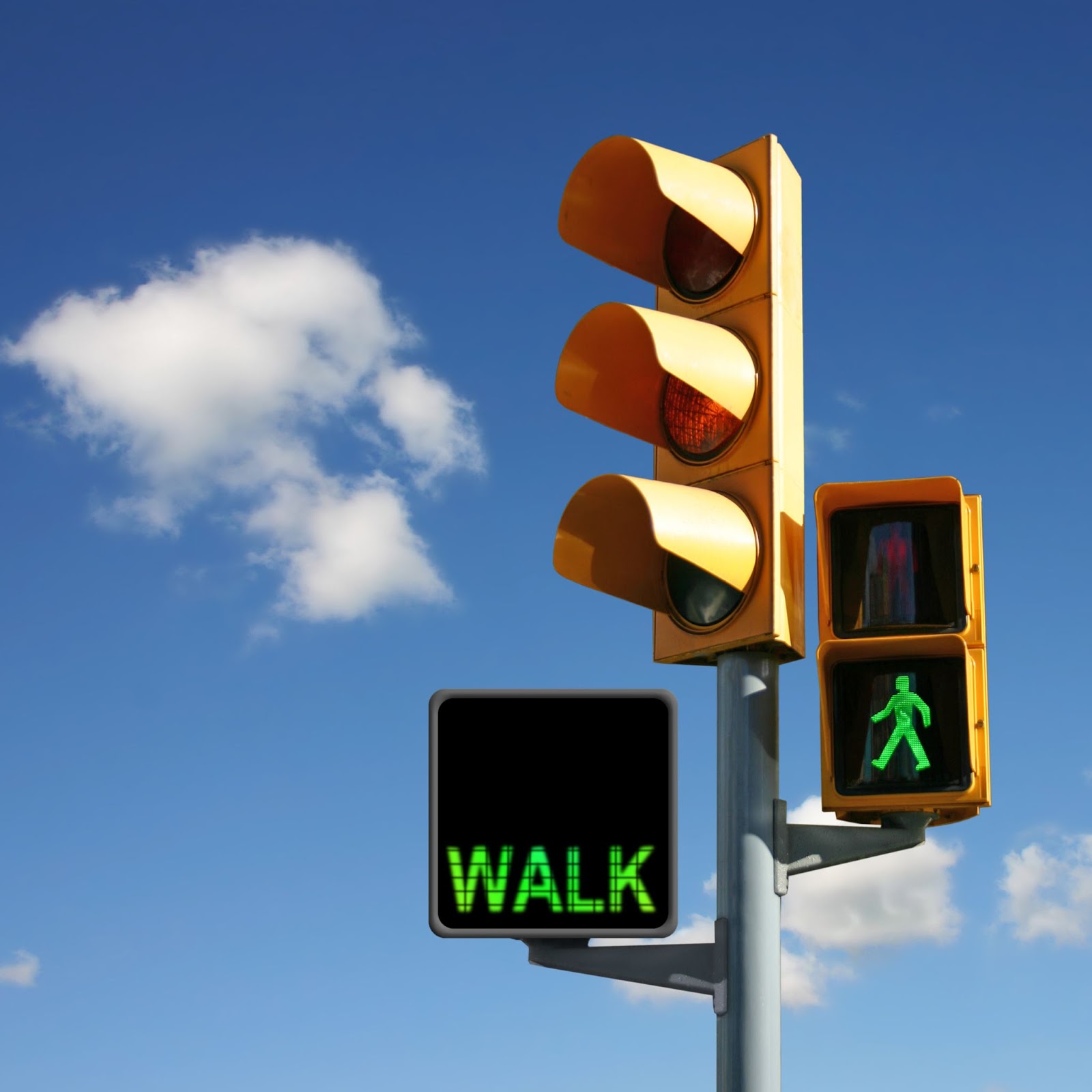 I was Hit By a Car in NC While Walking. How Do I File a Claim? 9 Understand and Obey Traffic Signals