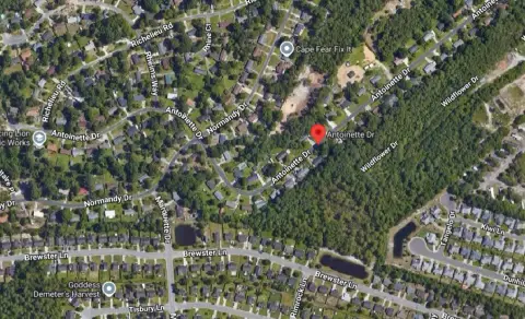 Deadly Antoinette Drive Crash in Wilmington, NC – Woman Ejected